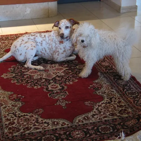 Splendid Szálloda Diano Marina