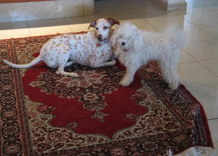 Splendid Отель Диано-Марина